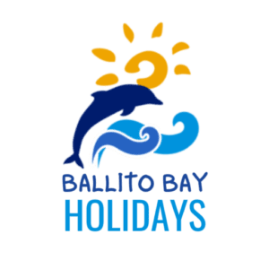 Logo of BAllito Bay Holidays. A Dolphin representing the Dolphin Coast with the sun and waves representing Holidays in Ballito